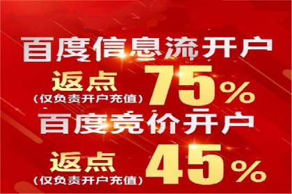 SEM竞价广告的智能优化：成功案例解读